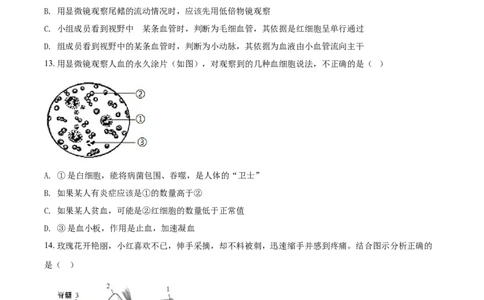 精品解析：湖南省娄底市2021年中考生物试题（原卷版）_中考真题_8.生物中考真题2015-2024年_2021中考生物真题64份_2021湖南省_精品解析：湖南省娄底市2021年中考生物试题
