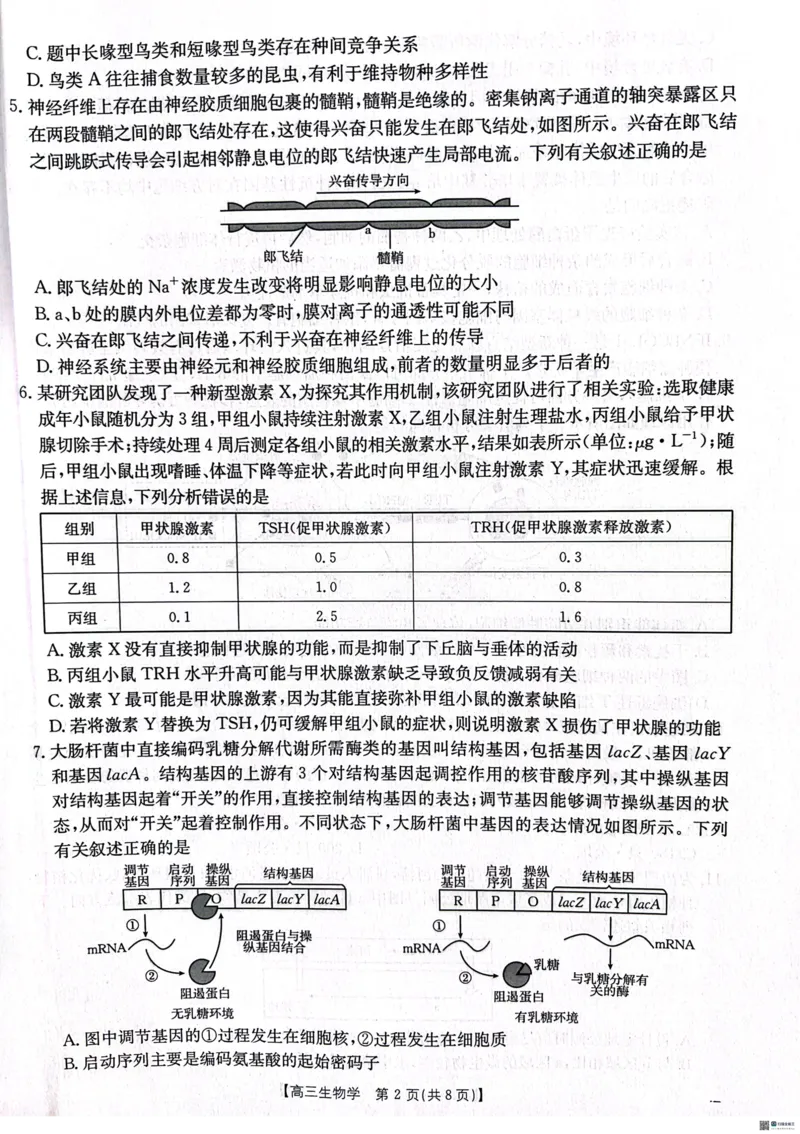2025届河北省&ldquo;五个一&rdquo;名校联盟高三下学期4月联考生物试题（含答案）_2025年4月_2504282025届河北省&ldquo;五个一&rdquo;名校联盟高三下学期4月联考（全科）