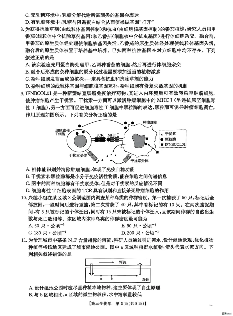 2025届河北省&ldquo;五个一&rdquo;名校联盟高三下学期4月联考生物试题（含答案）_2025年4月_2504282025届河北省&ldquo;五个一&rdquo;名校联盟高三下学期4月联考（全科）