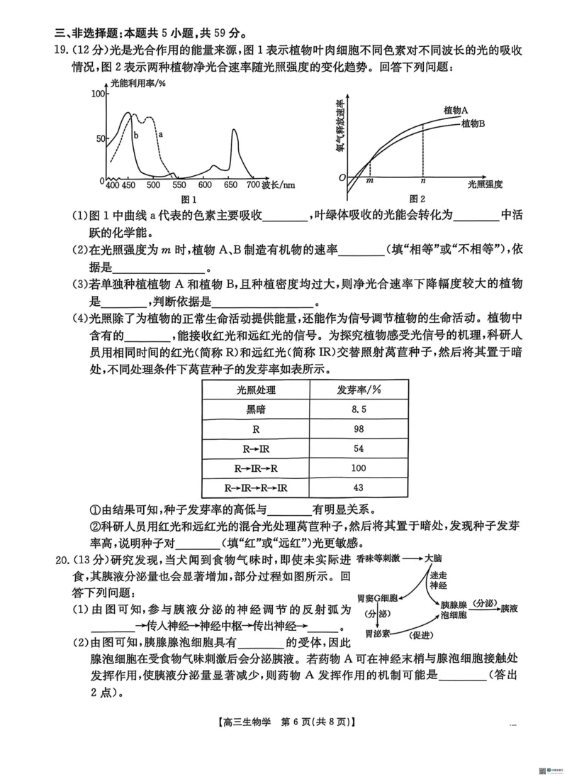 2025届河北省&ldquo;五个一&rdquo;名校联盟高三下学期4月联考生物试题（含答案）_2025年4月_2504282025届河北省&ldquo;五个一&rdquo;名校联盟高三下学期4月联考（全科）