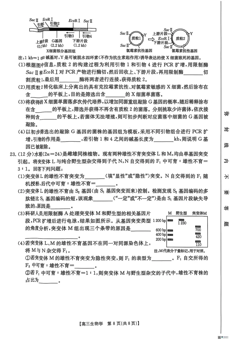 2025届河北省&ldquo;五个一&rdquo;名校联盟高三下学期4月联考生物试题（含答案）_2025年4月_2504282025届河北省&ldquo;五个一&rdquo;名校联盟高三下学期4月联考（全科）