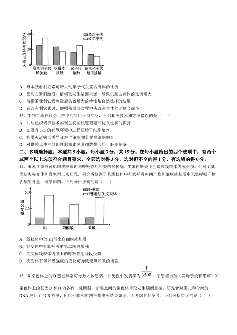 2025《高考真题&bull;河北》生物真题(原卷)_2025《全国高考真题卷》各地方卷_2025《高考真题&bull;河北》
