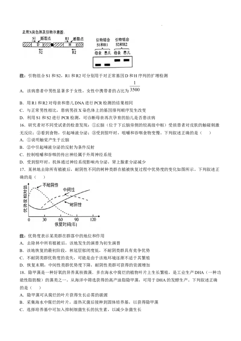 2025《高考真题&bull;河北》生物真题(原卷)_2025《全国高考真题卷》各地方卷_2025《高考真题&bull;河北》