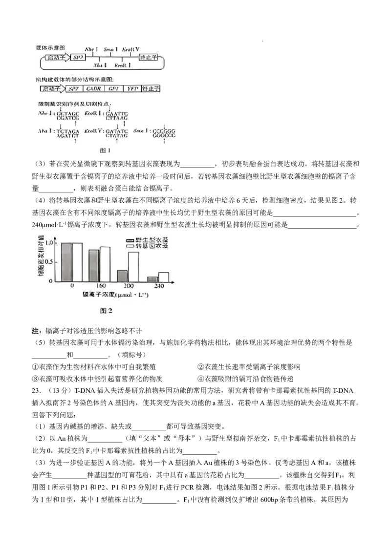 2025《高考真题&bull;河北》生物真题(原卷)_2025《全国高考真题卷》各地方卷_2025《高考真题&bull;河北》