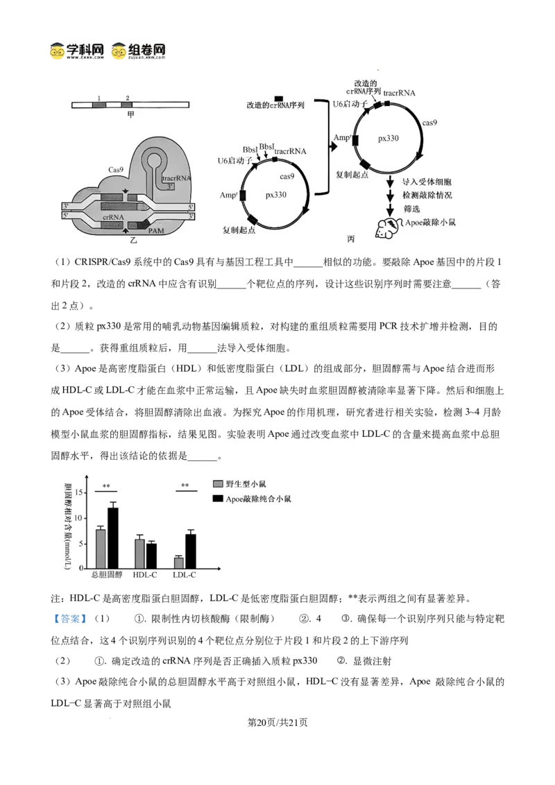 云南师范大学附属中学2024-2025学年高三下学期3月高考适应性月考卷（八）生物答案_2025年3月_250329云南师范大学附属中学2024-2025学年高三下学期3月高考适应性月考卷（八）（全科）