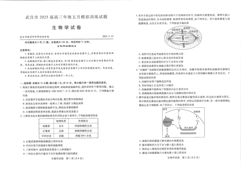 2025届湖北省武汉市高三五月模拟训练生物试卷_2025年5月_2505242025届湖北省武汉市高三五月模拟训练（全科）_生物