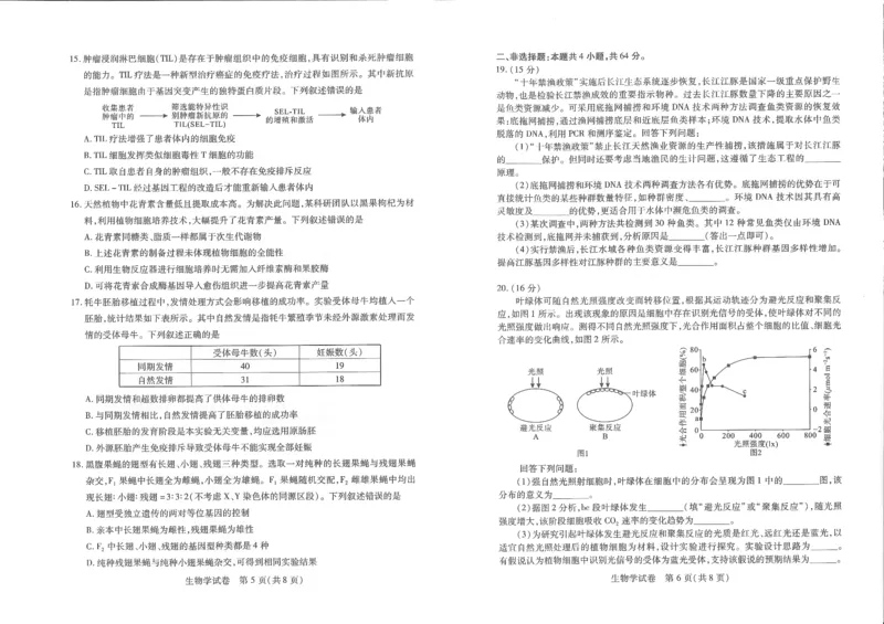 2025届湖北省武汉市高三五月模拟训练生物试卷_2025年5月_2505242025届湖北省武汉市高三五月模拟训练（全科）_生物