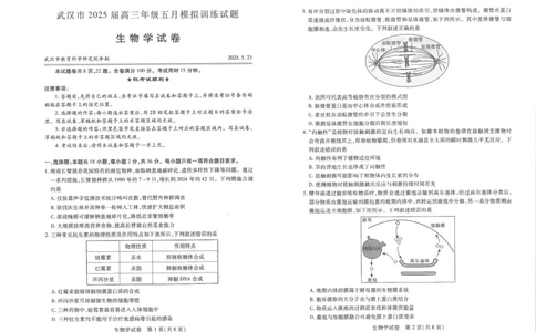 2025届湖北省武汉市高三五月模拟训练生物试卷_2025年5月_2505242025届湖北省武汉市高三五月模拟训练（全科）_生物