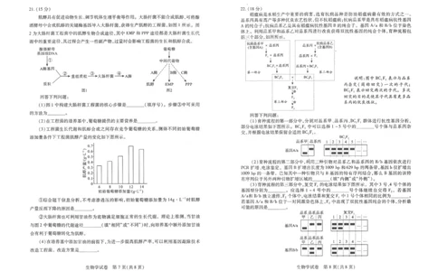2025届湖北省武汉市高三五月模拟训练生物试卷_2025年5月_2505242025届湖北省武汉市高三五月模拟训练（全科）_生物