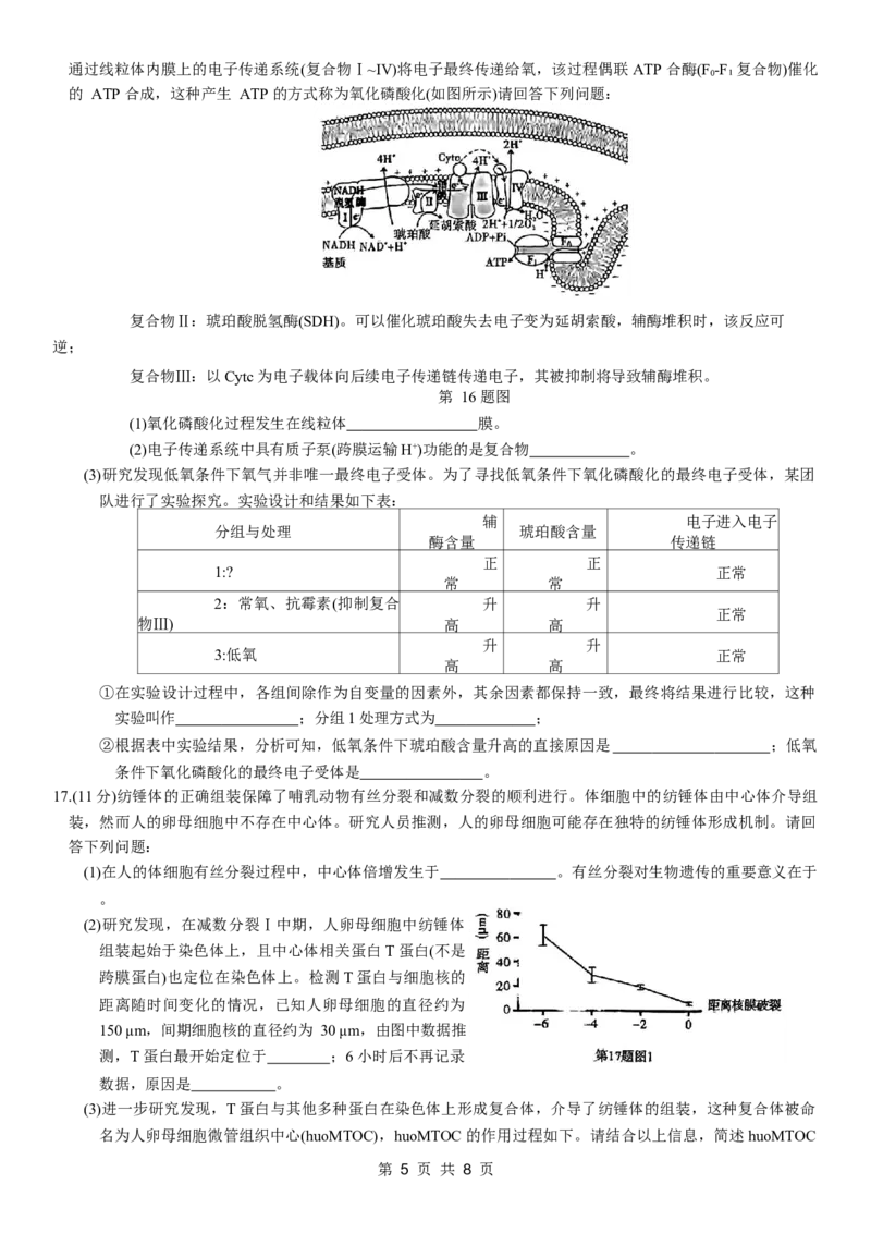 重庆市南开中学高2024届高三第五次质量检测生物试题_2024届重庆市南开中学高三第五次质量检测_重庆市南开中学高2024届高三第五次质量检测生物