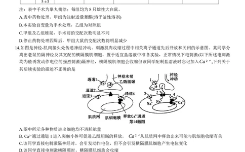 重庆市南开中学高2024届高三第五次质量检测生物试题_2024届重庆市南开中学高三第五次质量检测_重庆市南开中学高2024届高三第五次质量检测生物