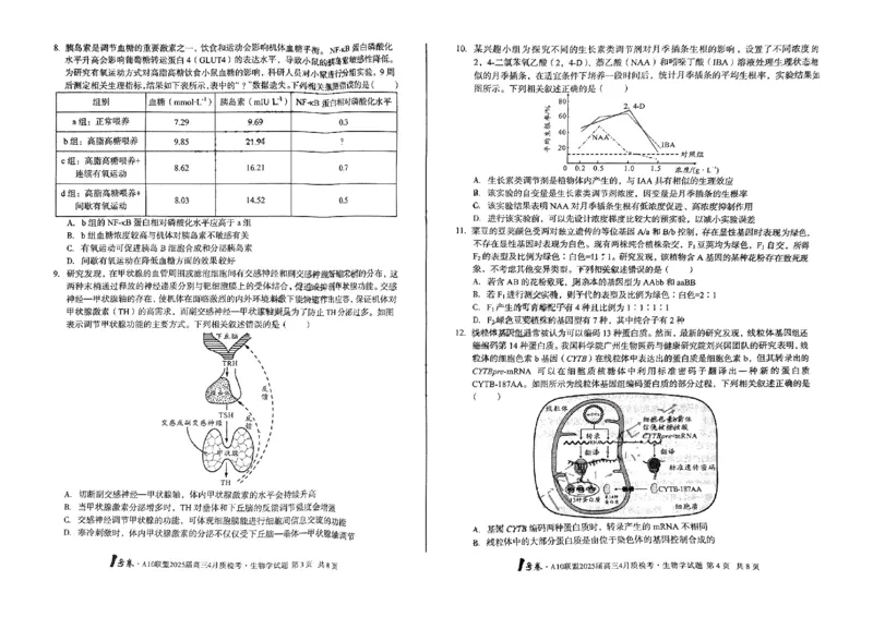 A10联盟2025届高三4月质检考生物+答案_2025年4月_250418安徽省A10联盟2025届高三4月质检考