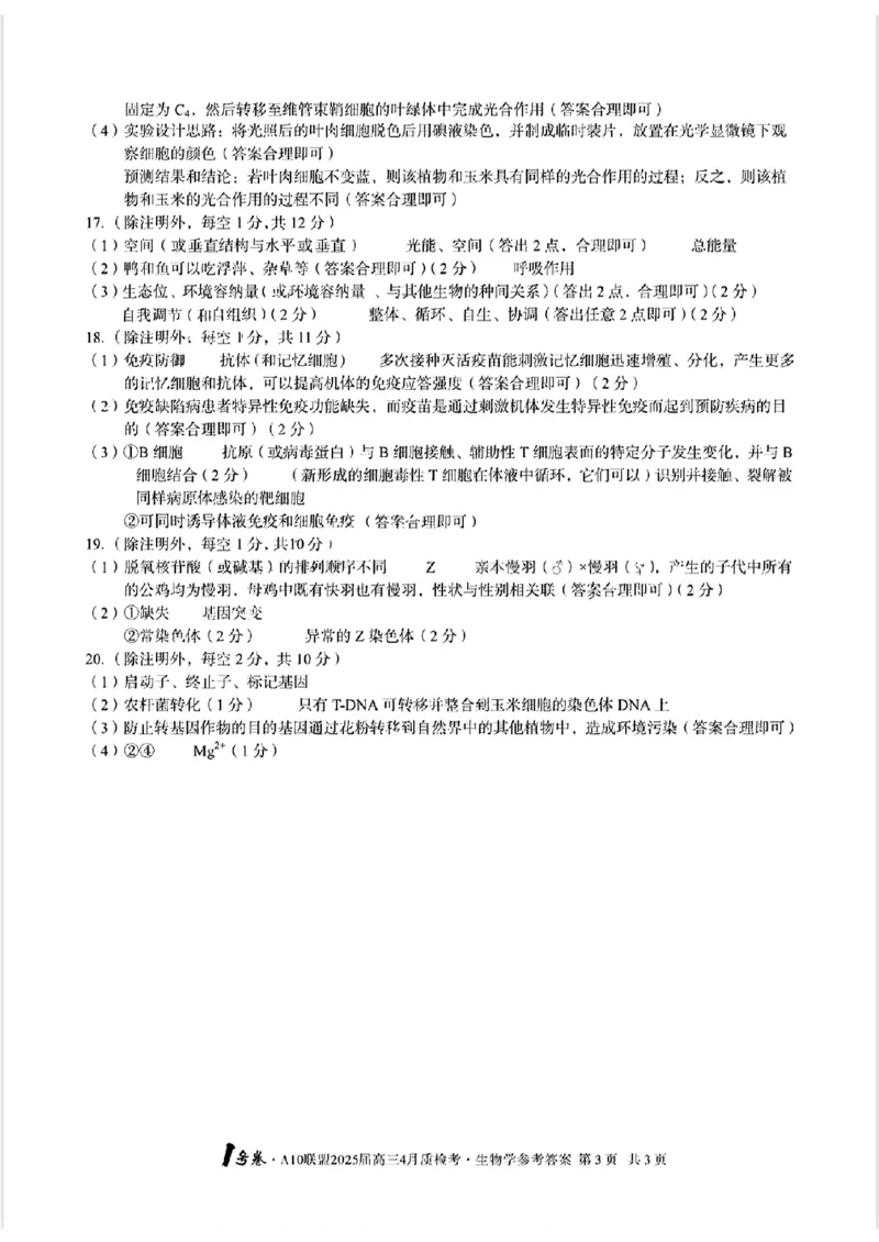 A10联盟2025届高三4月质检考生物+答案_2025年4月_250418安徽省A10联盟2025届高三4月质检考