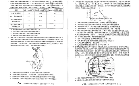 A10联盟2025届高三4月质检考生物+答案_2025年4月_250418安徽省A10联盟2025届高三4月质检考