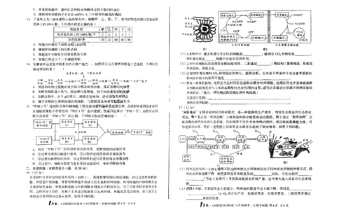 A10联盟2025届高三4月质检考生物+答案_2025年4月_250418安徽省A10联盟2025届高三4月质检考