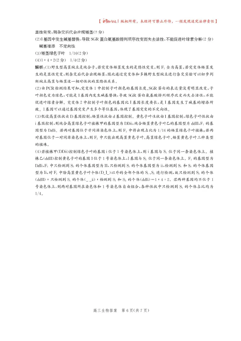 2025届河北省沧州市高三下学期4月复习质量监测（二模）生物试题（含答案）_2025年4月_2504162025届河北省沧州市高三下学期4月复习质量监测（二模）（全科）