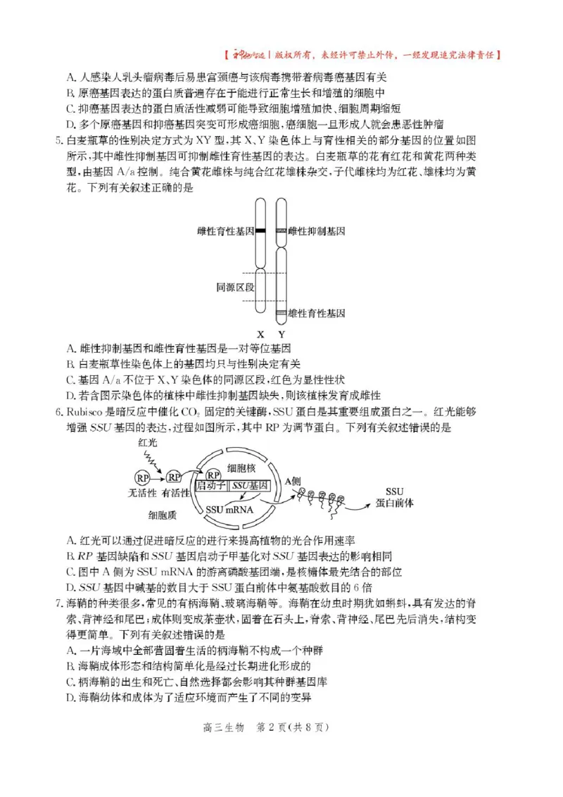 2025届河北省沧州市高三下学期4月复习质量监测（二模）生物试题（含答案）_2025年4月_2504162025届河北省沧州市高三下学期4月复习质量监测（二模）（全科）