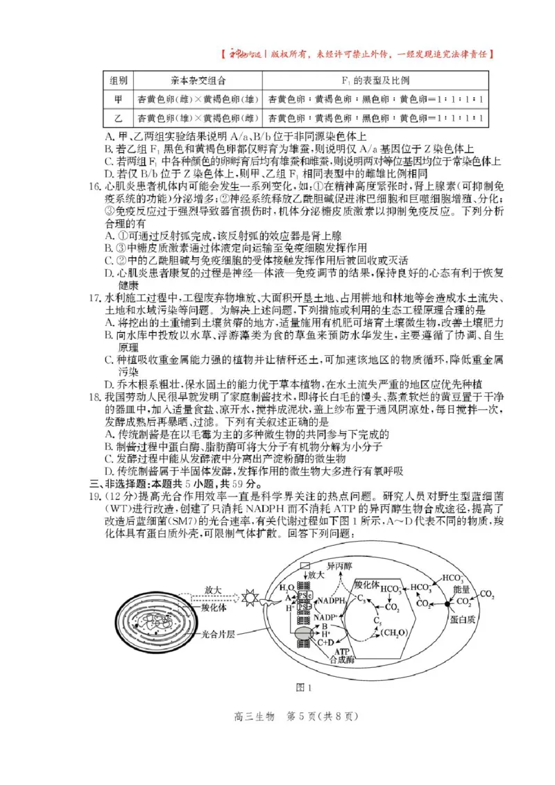 2025届河北省沧州市高三下学期4月复习质量监测（二模）生物试题（含答案）_2025年4月_2504162025届河北省沧州市高三下学期4月复习质量监测（二模）（全科）