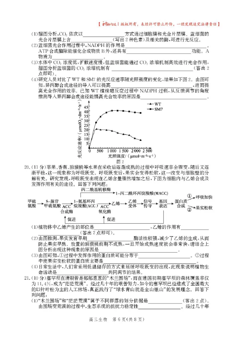 2025届河北省沧州市高三下学期4月复习质量监测（二模）生物试题（含答案）_2025年4月_2504162025届河北省沧州市高三下学期4月复习质量监测（二模）（全科）