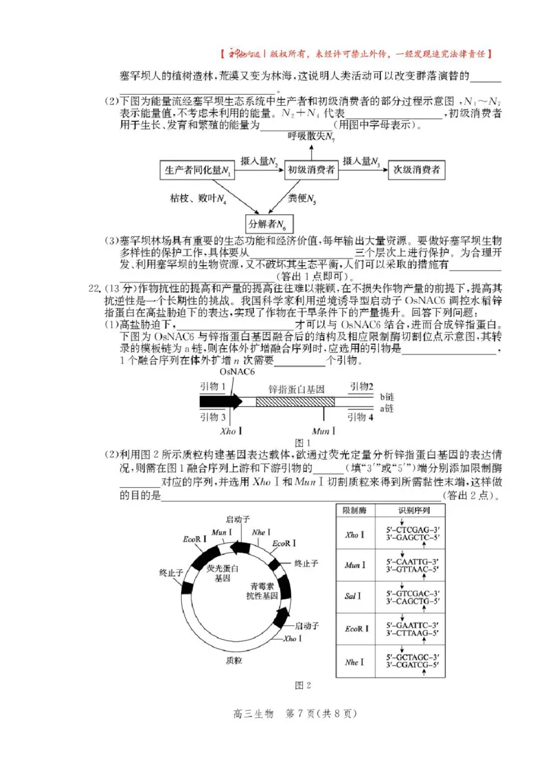 2025届河北省沧州市高三下学期4月复习质量监测（二模）生物试题（含答案）_2025年4月_2504162025届河北省沧州市高三下学期4月复习质量监测（二模）（全科）