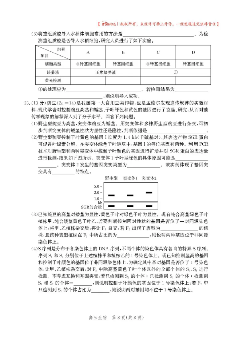 2025届河北省沧州市高三下学期4月复习质量监测（二模）生物试题（含答案）_2025年4月_2504162025届河北省沧州市高三下学期4月复习质量监测（二模）（全科）