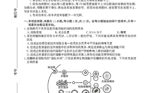 2025届河北省沧州市高三下学期4月复习质量监测（二模）生物试题（含答案）_2025年4月_2504162025届河北省沧州市高三下学期4月复习质量监测（二模）（全科）