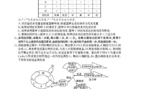 2025届河北省沧州市高三下学期4月复习质量监测（二模）生物试题（含答案）_2025年4月_2504162025届河北省沧州市高三下学期4月复习质量监测（二模）（全科）