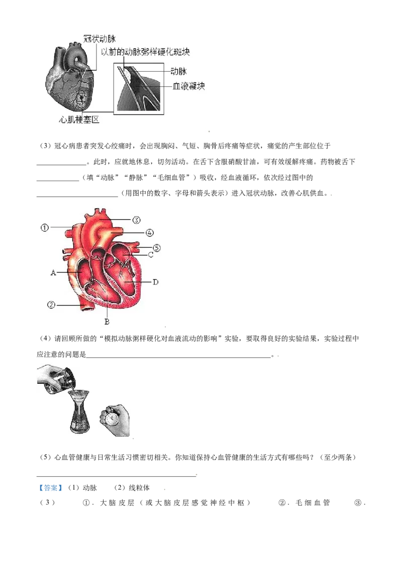 精品解析：山东省东营市2021年中考生物试题（解析版）_中考真题_8.生物中考真题2015-2024年_2021中考生物真题64份_2021山东省_精品解析：山东省东营市2021年中考生物试题