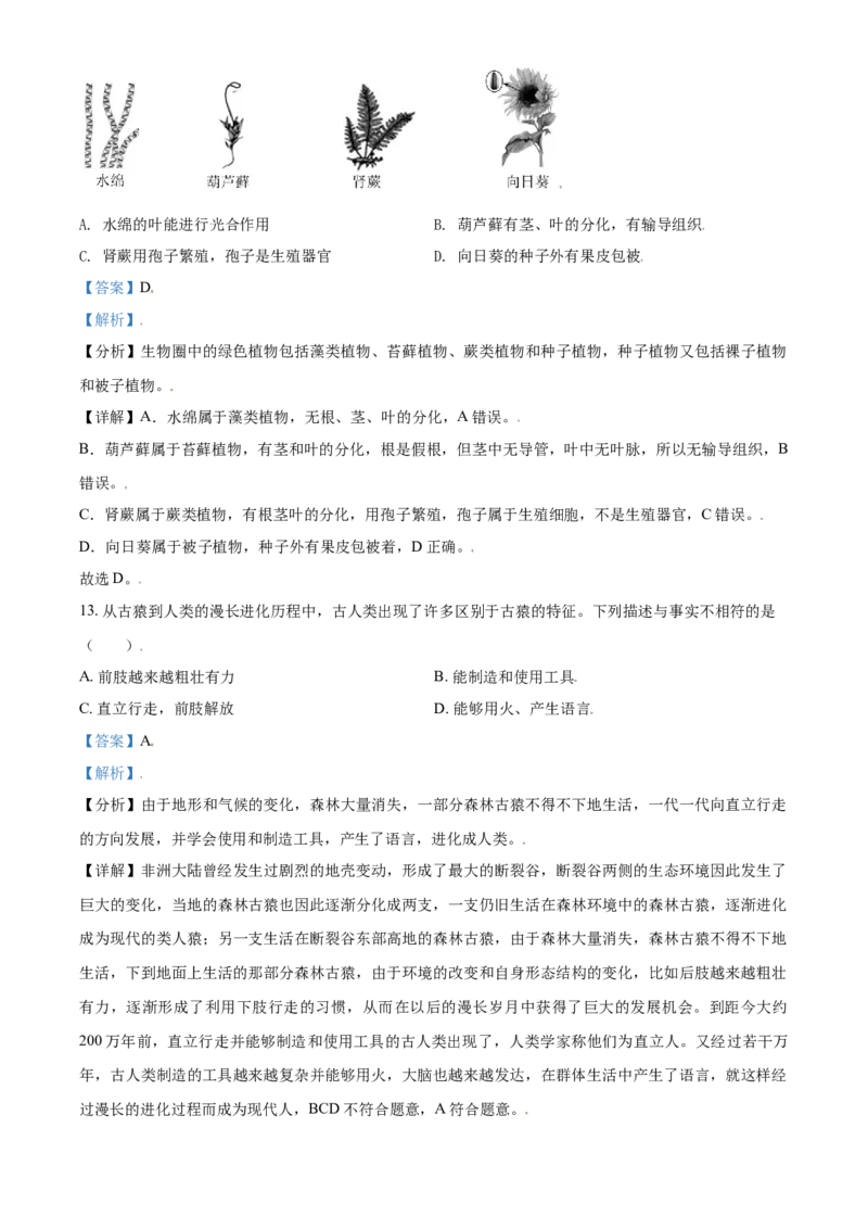 精品解析：山东省东营市2021年中考生物试题（解析版）_中考真题_8.生物中考真题2015-2024年_2021中考生物真题64份_2021山东省_精品解析：山东省东营市2021年中考生物试题