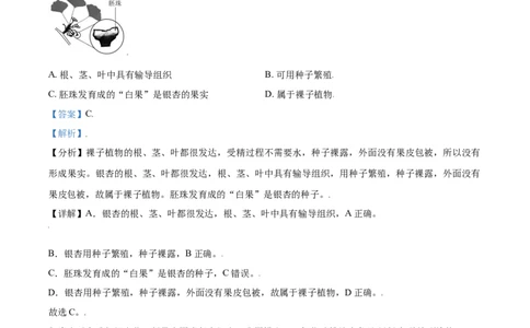 精品解析：山东省东营市2021年中考生物试题（解析版）_中考真题_8.生物中考真题2015-2024年_2021中考生物真题64份_2021山东省_精品解析：山东省东营市2021年中考生物试题