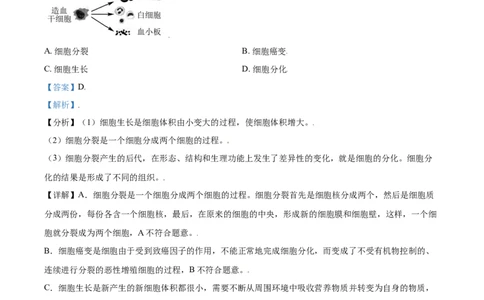 精品解析：山东省东营市2021年中考生物试题（解析版）_中考真题_8.生物中考真题2015-2024年_2021中考生物真题64份_2021山东省_精品解析：山东省东营市2021年中考生物试题