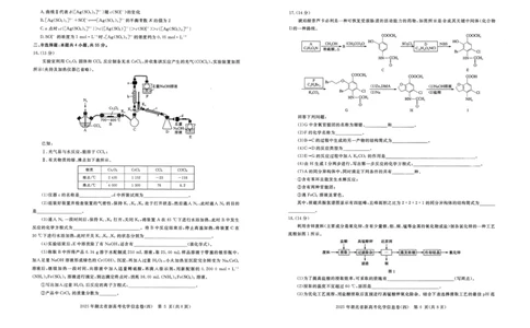2025年湖北省新高考信息卷（四）化学_2025年5月_2505182025年湖北省新高考信息卷（四）（全科）