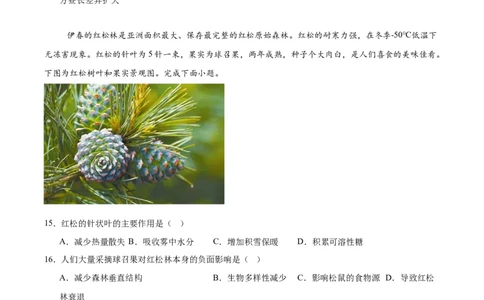 内蒙古包头市2025届高三下学期4月二模试题地理含答案_2025年4月_250423内蒙古包头市2025届高三下学期4月二模（全科）