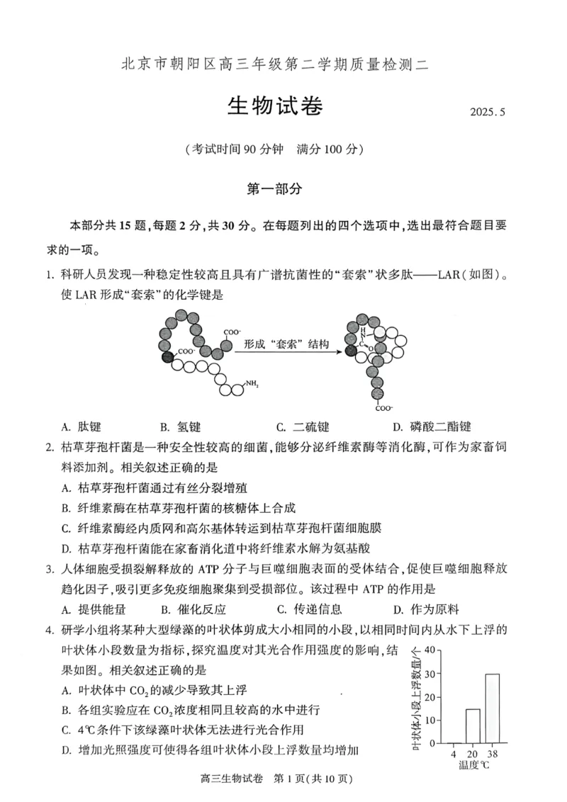2025年北京市朝阳区高三二模-生物+答案_2025年5月_2505132025年北京市朝阳区高三二模（全科）