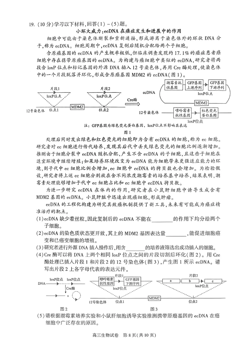 2025年北京市朝阳区高三二模-生物+答案_2025年5月_2505132025年北京市朝阳区高三二模（全科）