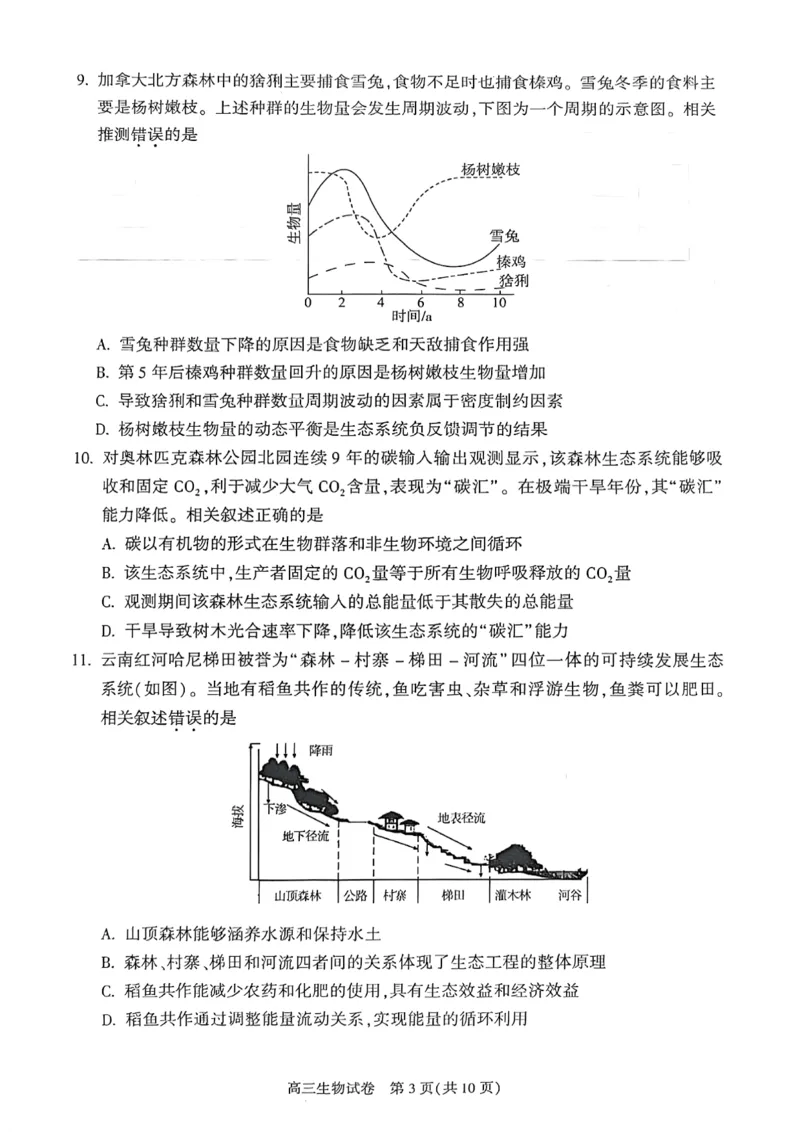 2025年北京市朝阳区高三二模-生物+答案_2025年5月_2505132025年北京市朝阳区高三二模（全科）