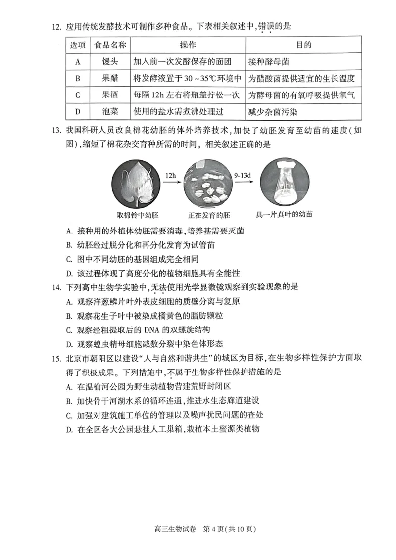 2025年北京市朝阳区高三二模-生物+答案_2025年5月_2505132025年北京市朝阳区高三二模（全科）