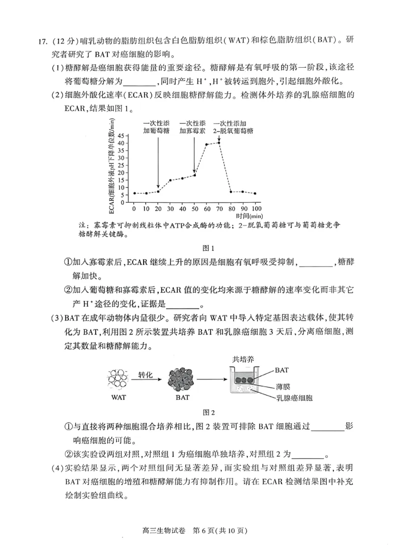 2025年北京市朝阳区高三二模-生物+答案_2025年5月_2505132025年北京市朝阳区高三二模（全科）