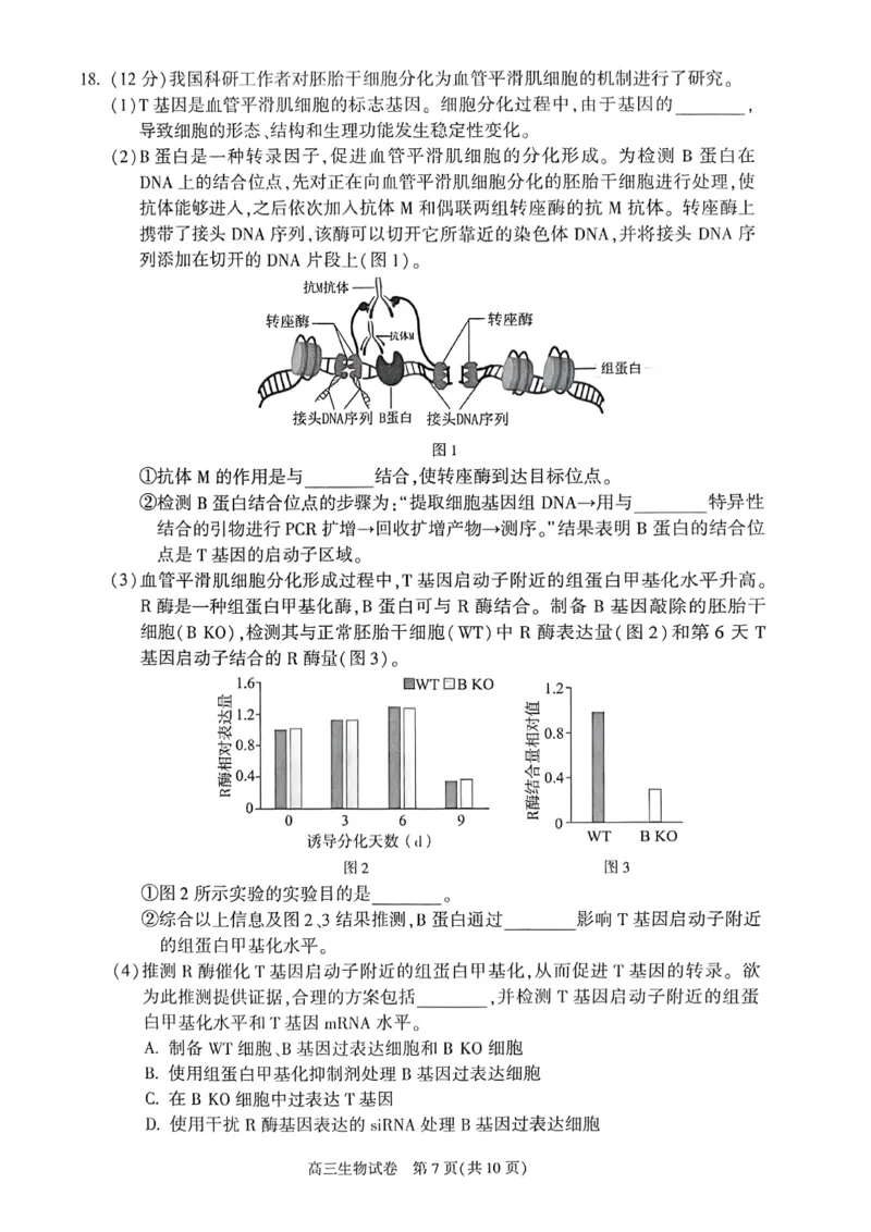 2025年北京市朝阳区高三二模-生物+答案_2025年5月_2505132025年北京市朝阳区高三二模（全科）