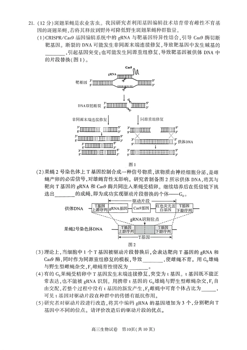 2025年北京市朝阳区高三二模-生物+答案_2025年5月_2505132025年北京市朝阳区高三二模（全科）