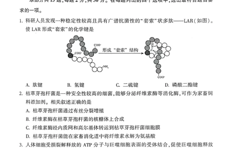 2025年北京市朝阳区高三二模-生物+答案_2025年5月_2505132025年北京市朝阳区高三二模（全科）