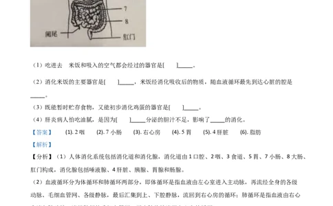 精品解析：宁夏2020年中考生物试题（解析版）_中考真题_8.生物中考真题2015-2024年_2020生物真题74份_精品解析：宁夏2020年中考生物试题