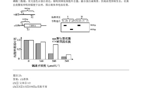 2025年高考生物试卷（河北）（答案）_26.河北-高考真题_2015-2025（河北）生物高考真题