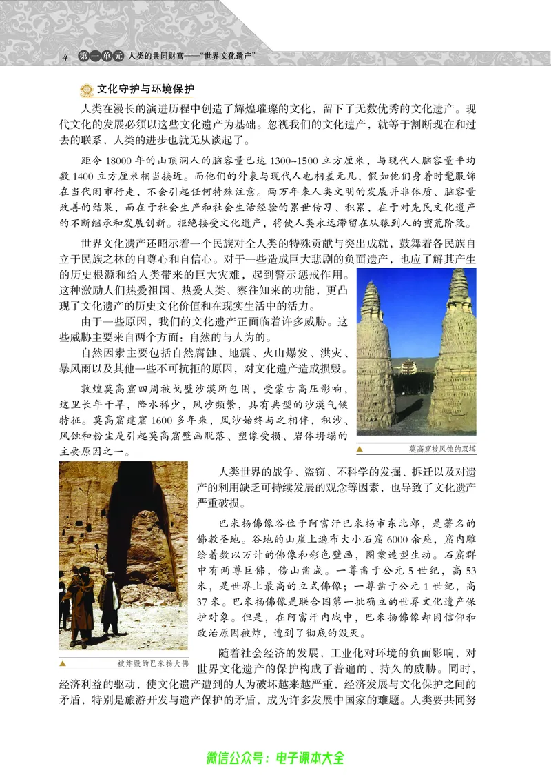 选修：世界文化遗产荟萃_4-教培资料-26年最新资料-同步更新_初中高中教资_03科三专项（进去保存报考的学科即可）_02科三专项（笔记真题思维导图教学设计版本二）