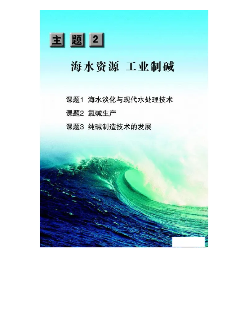 鲁科版高中化学选修2-化学与技术（2003课标版）_4-教培资料-26年最新资料-同步更新_初中高中教资_03科三专项（进去保存报考的学科即可）_112025高中科目（全）电子教材