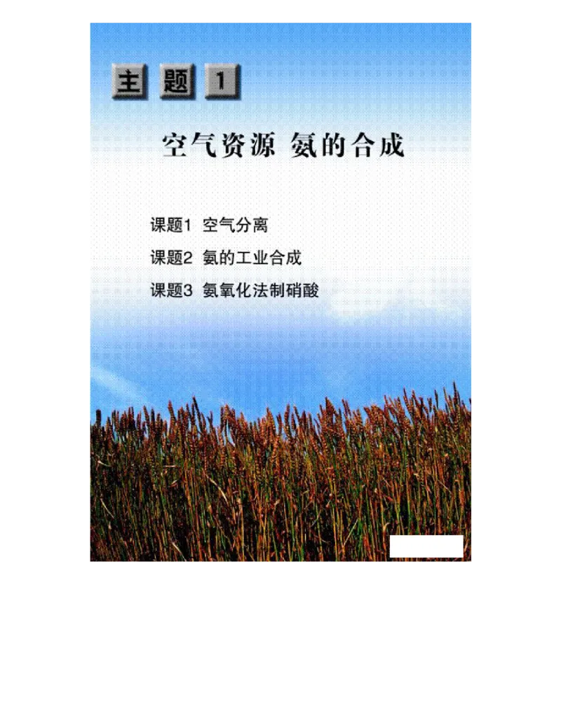 鲁科版高中化学选修2-化学与技术（2003课标版）_4-教培资料-26年最新资料-同步更新_初中高中教资_03科三专项（进去保存报考的学科即可）_112025高中科目（全）电子教材