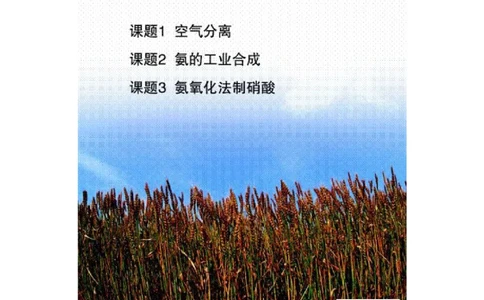 鲁科版高中化学选修2-化学与技术（2003课标版）_4-教培资料-26年最新资料-同步更新_初中高中教资_03科三专项（进去保存报考的学科即可）_112025高中科目（全）电子教材