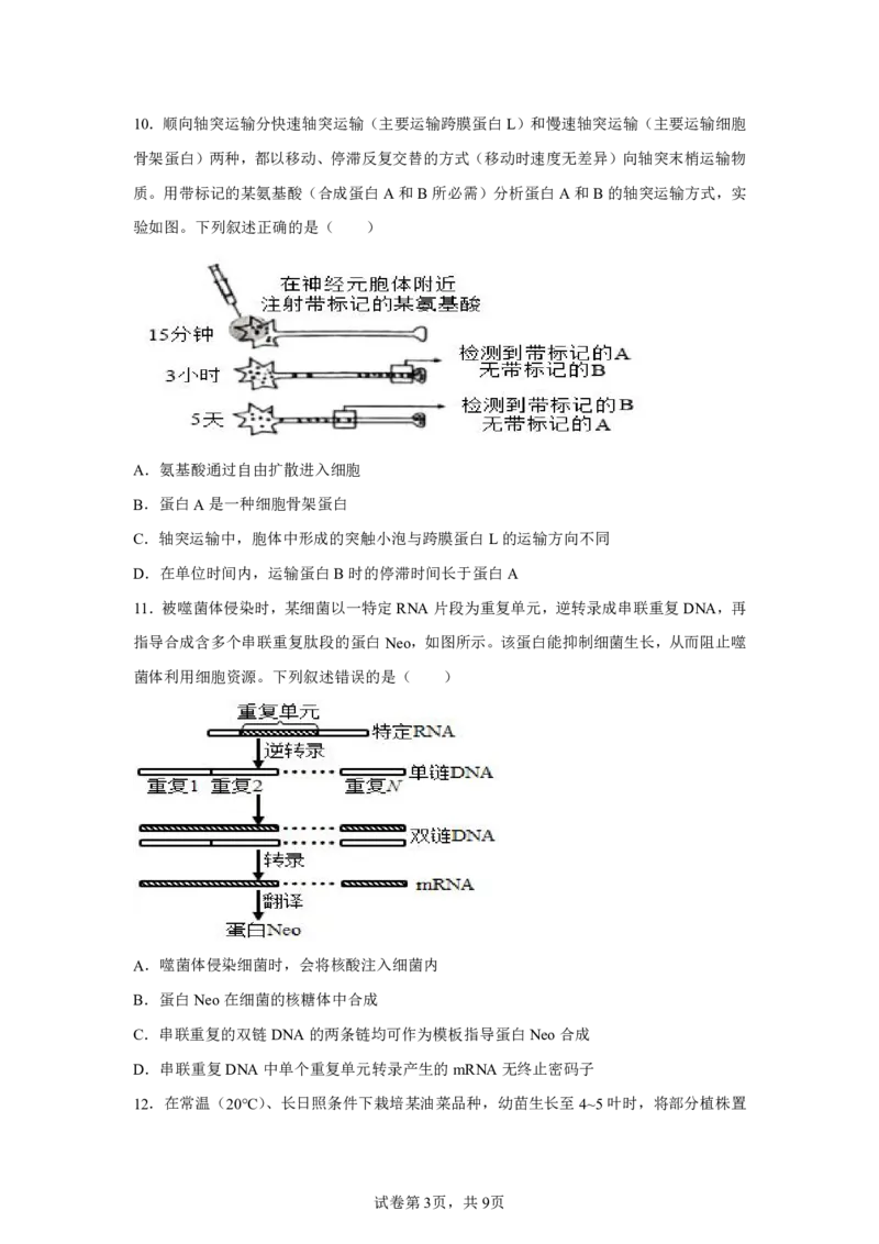 湖南2025年高考湖南卷生物高考真题文档版-A4答案卷尾_1.高考2025全国各省真题+答案_00.2025各省市高考真题及答案（按省份分类）_8、湖南卷（9科全）_6.生物