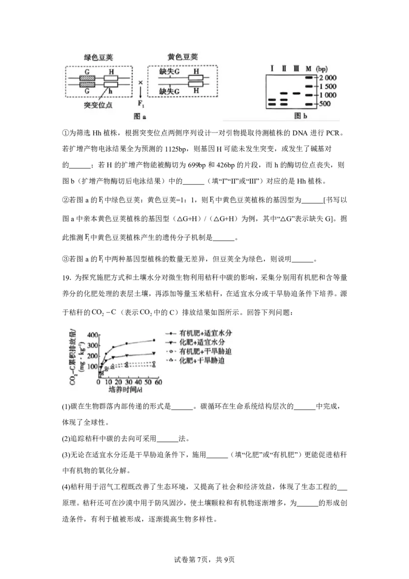 湖南2025年高考湖南卷生物高考真题文档版-A4答案卷尾_1.高考2025全国各省真题+答案_00.2025各省市高考真题及答案（按省份分类）_8、湖南卷（9科全）_6.生物