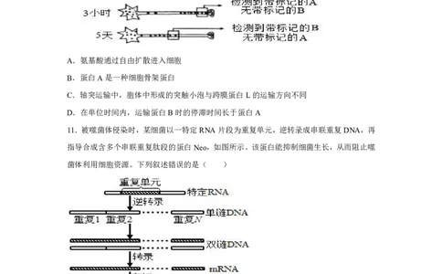 湖南2025年高考湖南卷生物高考真题文档版-A4答案卷尾_1.高考2025全国各省真题+答案_00.2025各省市高考真题及答案（按省份分类）_8、湖南卷（9科全）_6.生物